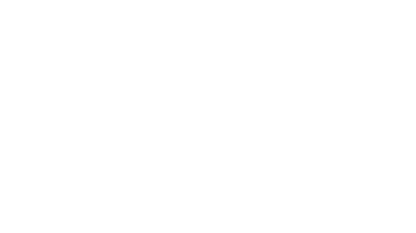 Perpi Ltd